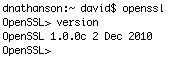 Terminal_openSSL_version